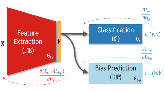 Information related to Bias-Resilient Neural Network (BR-Net)