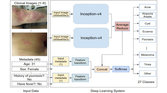 Overview of the development and validation of our deep learning system (DLS)