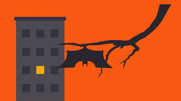 Illustration of a bat hanging from a branch in front of a building