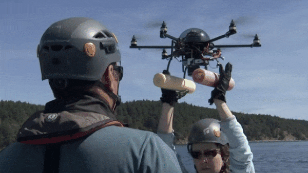 Drones flying off the coast capturing video of orcas and models analyzing the imagery