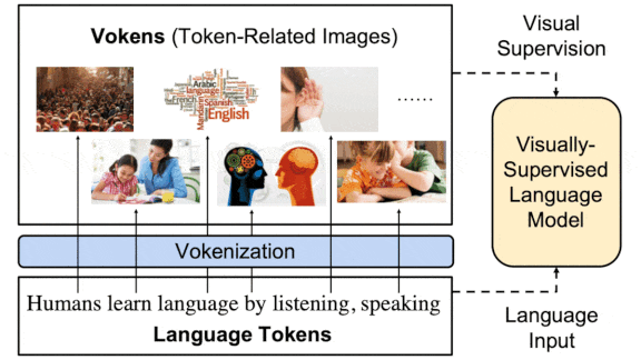 Graphs and data related to visualized tokens (or vokens) 