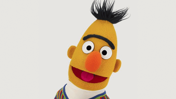 Bert (muppet) and information related to BERT (transformer-based machine learning technique)