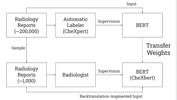 Information and examples of CheXbert, a network that labels chest X-rays