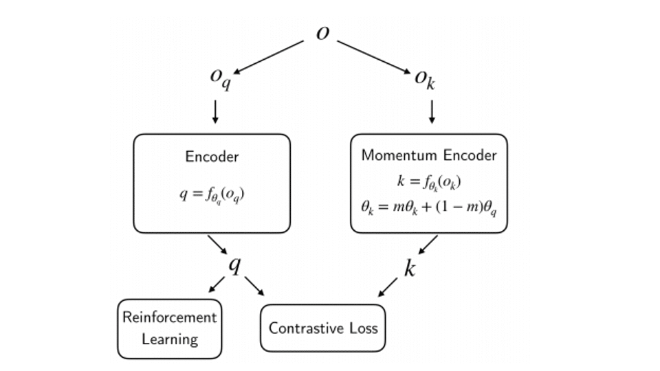 Data and information related to Contrastive Unsupervised Representations for Reinforcement Learning (CURL)