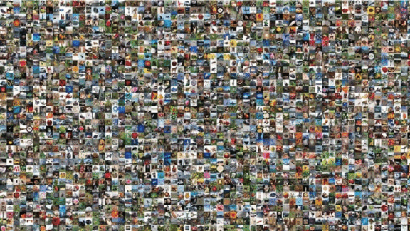 Tiny Images photos and datasets 