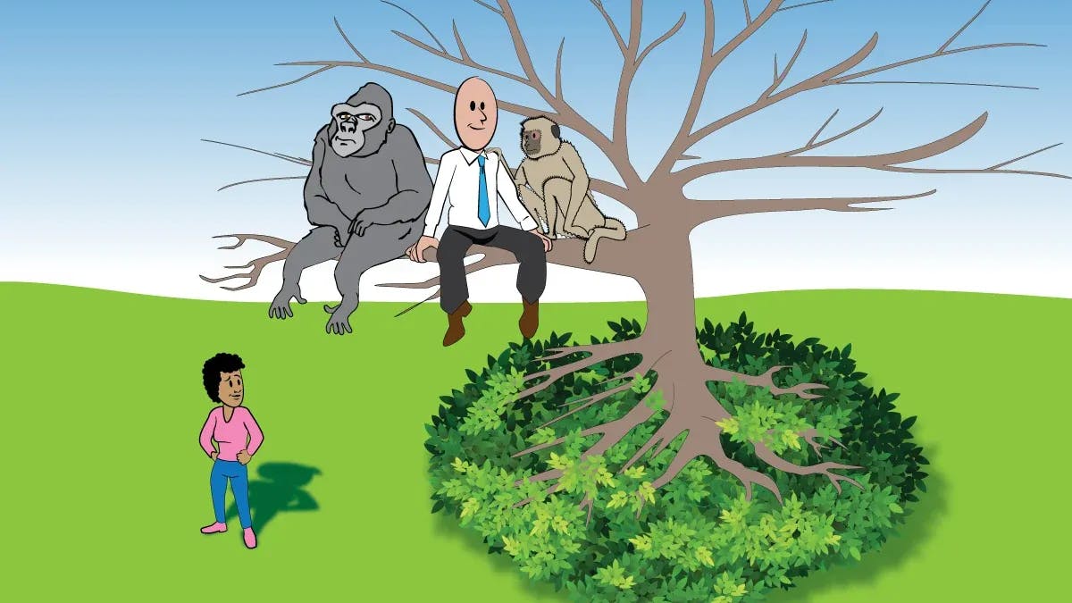 Man sitting on a tree with a monkey and a gorilla