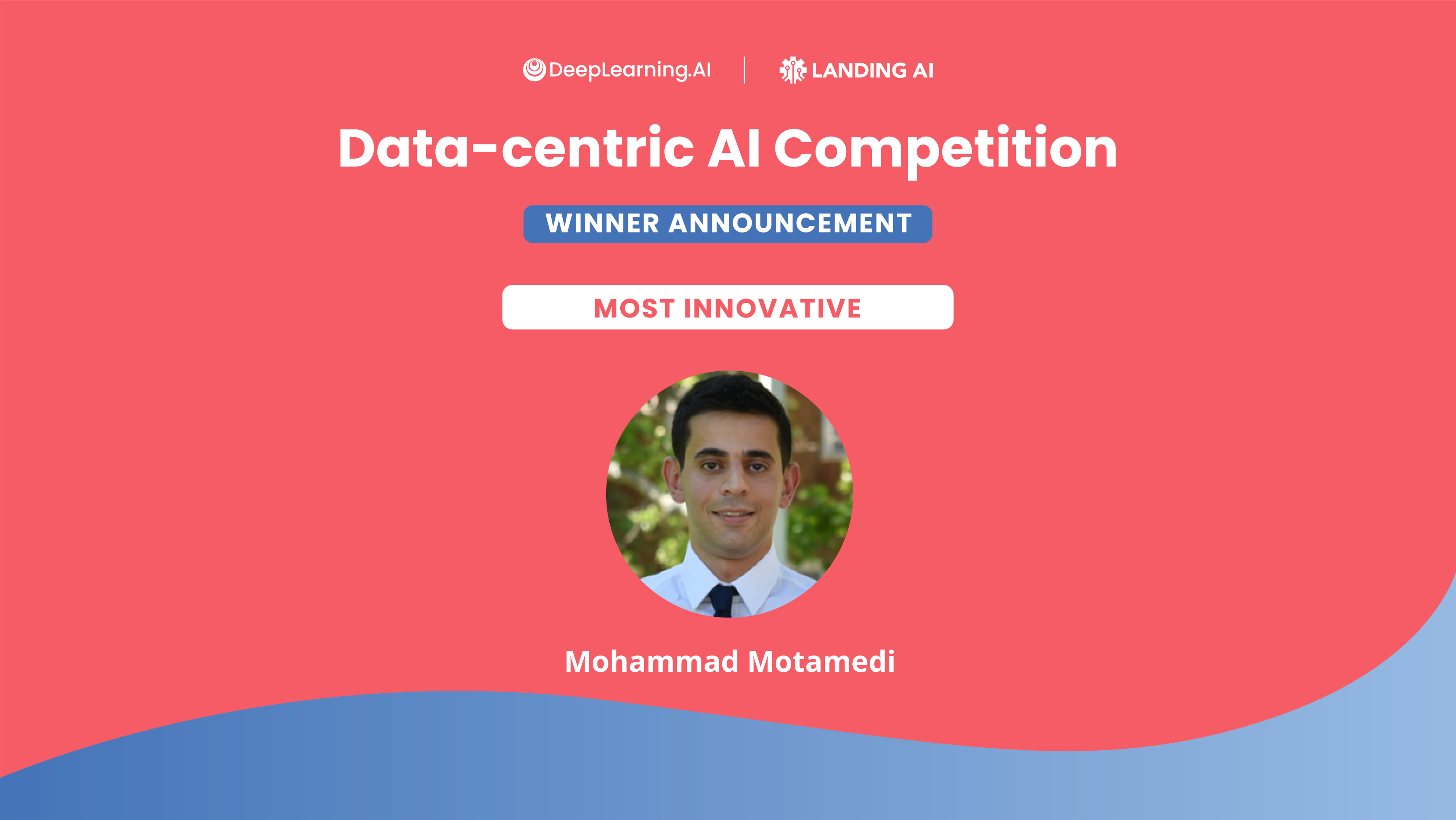 How I Won the First Data-centric AI Competition: Mohammad Motamedi